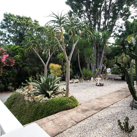 South Villa Guesthouse&Garden Knysna Zewnętrze zdjęcie