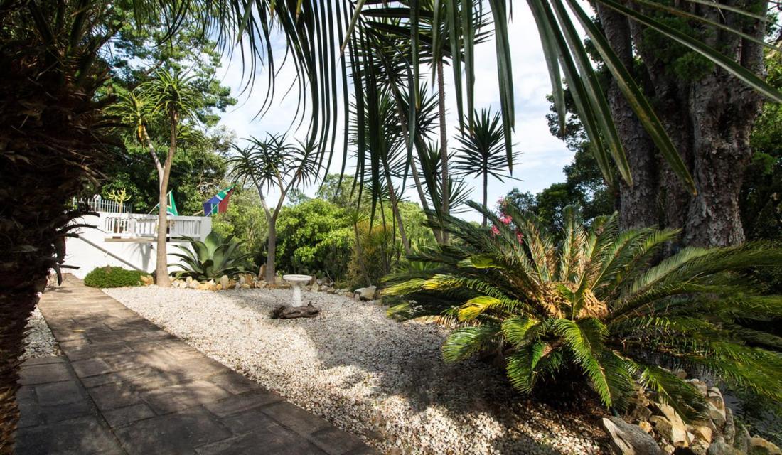 South Villa Guesthouse&Garden Knysna Zewnętrze zdjęcie