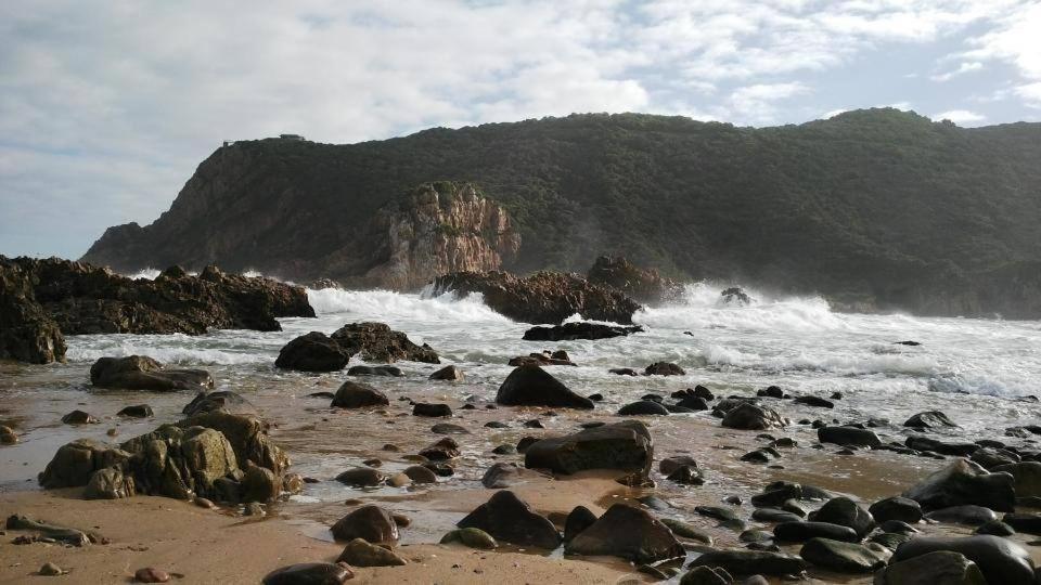 South Villa Guesthouse&Garden Knysna Zewnętrze zdjęcie